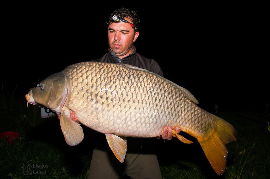 cenusaru 15 septembrie - 17 septemb 2017 - 3j.jpg